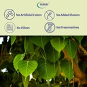 arasa-ilai-powder-peepal-leaf-ficus-reli-5.jpg