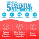 force-factor-liquid-labs-energy-drink-el-2.jpg