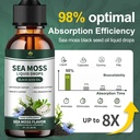 irish-sea-moss-drops-organic-sea-moss-ge-5.jpg
