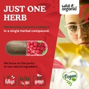 wild-organic-schisandra-supplement-capsu-5.jpg