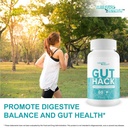 gut-hack-our-best-probiotics-for-gut-hea-6.jpg