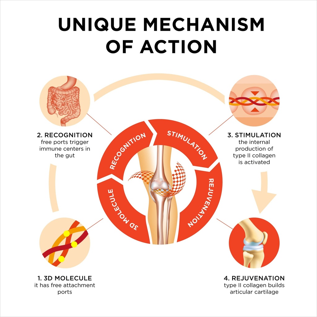 collanol-innovation-in-the-care-of-healt-6.jpg
