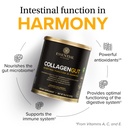 essential-nutrition-collagen-gut-collage-2.jpg