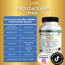 max-prostate-support-supplement-natural--3.jpg