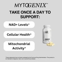 nr-capsules-nicotinamide-riboside-300mg--3.jpg