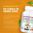 new-roots-herbal-grass-fed-beef-spleen-3-6.jpg