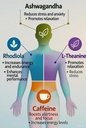 ignite-nootropic-adaptogen-blend-supplem-5.jpg
