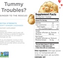 the-ginger-people-ginger-rescue-digestiv-6.jpg