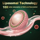 nad-supplement-with-liposomal-nicotinami-5.jpg