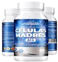 vitamisan-4-celulas-madres-stemcells-cel-6.jpg