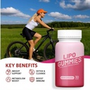lipo-gummies-official-acv-premium-all-na-2.jpg