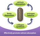 eubone-bone-health-supplement-with-calci-3.jpg