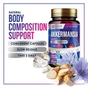 akkermansia-probiotic-premium-akkermansi-6.jpg