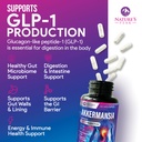 akkermansia-probiotic-premium-akkermansi-5.jpg