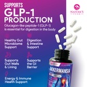 akkermansia-probiotic-premium-akkermansi-5.jpg