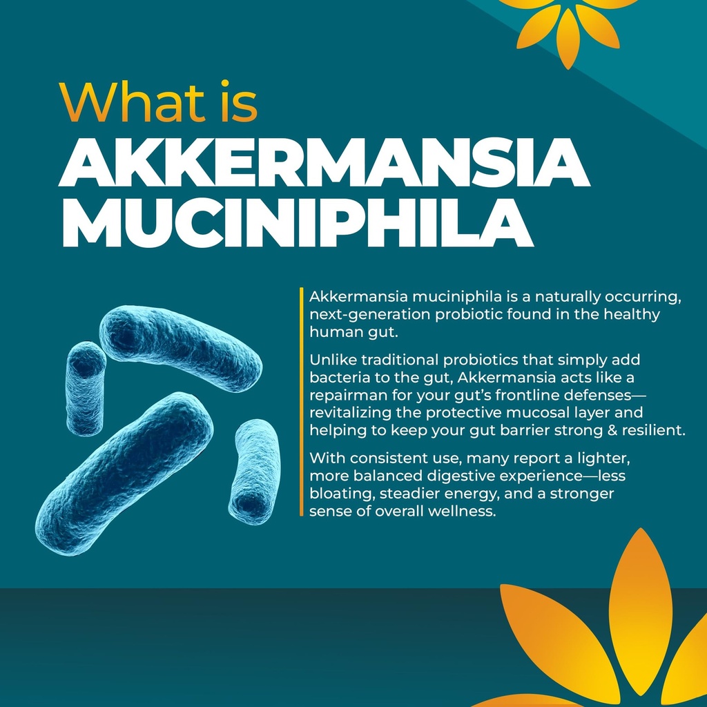 akkermansia-probiotic-supplement-promote-3.jpg