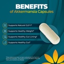 akkermansia-probiotic-supplement-promote-4.jpg