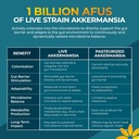 akkermansia-probiotic-supplement-promote-5.jpg