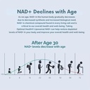 liposomal-nad-supplement-with-resveratro-4.jpg
