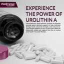 urolithin-a-supplement-capsules-1-000mg--4.jpg