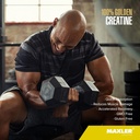 maxler-100-golden-creatine---micronized--4.jpg