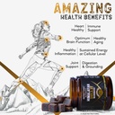 nutrotonic-organic-himalayan-shilajit-gu-3.jpg