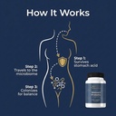 women-s-probiotic-targeted-l-reuteri-rc--2.jpg