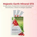 youngevity-majestic-earth-mineral-stxTM--2.jpg