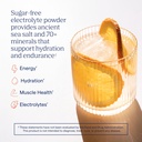 trace-minerals-zerolyte-salty-orange-can-6.jpg