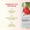 youngevity-majestic-earth-mineral-stxTM--5.jpg