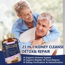kidney-cleanse-detox-repair-chanca-piedr-5.jpg