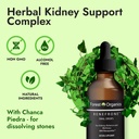 renefrone-kidney-health-and-urinary-trac-5.jpg
