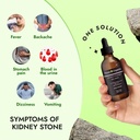 renefrone-kidney-health-and-urinary-trac-3.jpg