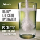 kevala-electrolytes-powder-packets-sugar-3.jpg