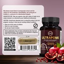 rawleigh-ultrapome-natural-urolithin-a-s-6.jpg