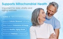 1lifescience-blood-sugar-blend-supplemen-6.jpg