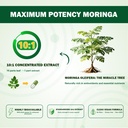organic-moringa-capsules-1000mg-10-1-lea-3.jpg