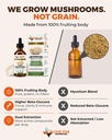 lion-s-mane-supplement-drops-dual-extrac-4.jpg