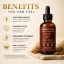 momentum-cordyceps-lion-s-mane-mushroom--3.jpg