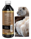 herbal-goodness-lions-mane-mushroom-extr-2.jpg