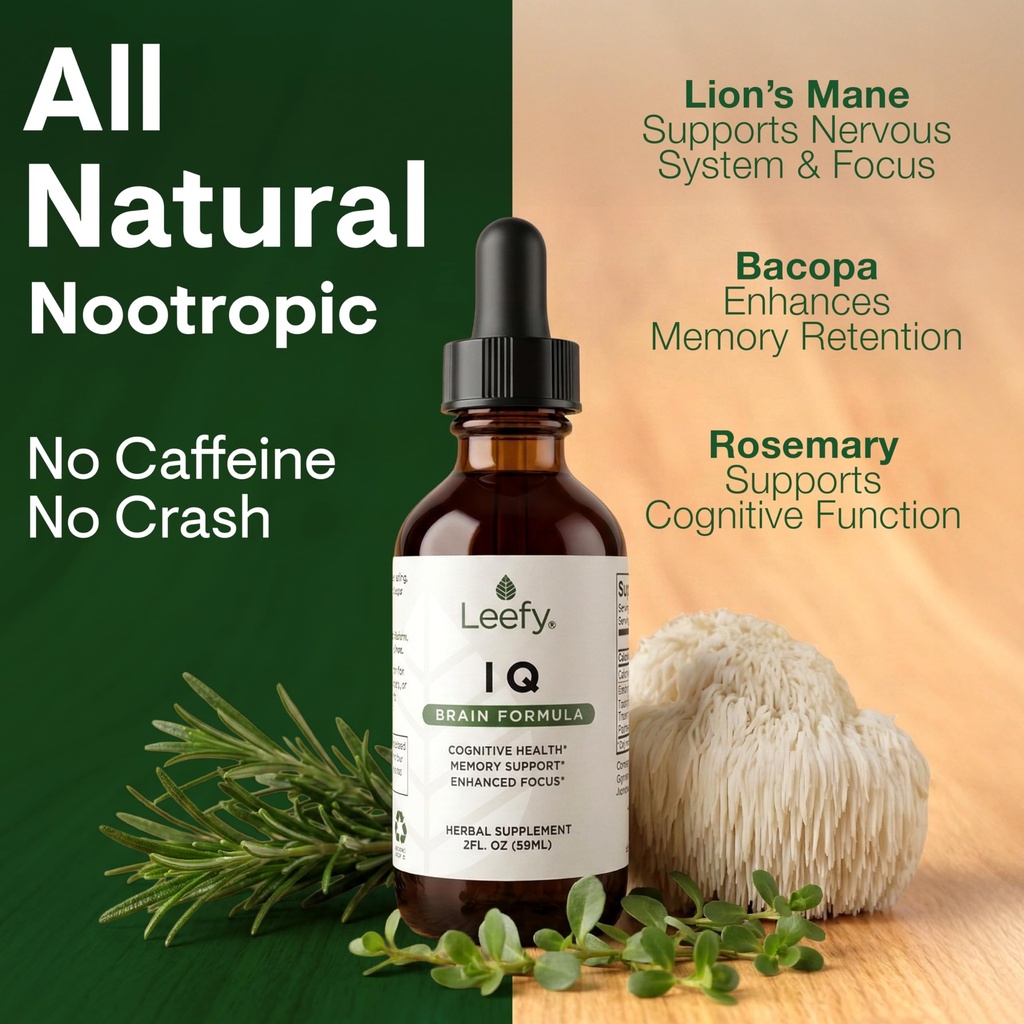 leefy-organics-lions-mane-drops-nootropi-4.jpg