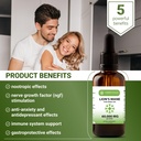 lion-s-mane-extract-daily-mushroom-suppl-4.jpg