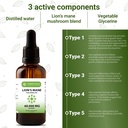lion-s-mane-extract-daily-mushroom-suppl-5.jpg