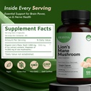 lions-mane-mushroom-supplement-120-lion--4.jpg