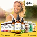 wild-organic-bacopa-monnieri-supplement--5.jpg