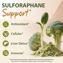 sulforaphane-supplement-from-broccoli-sp-2.jpg