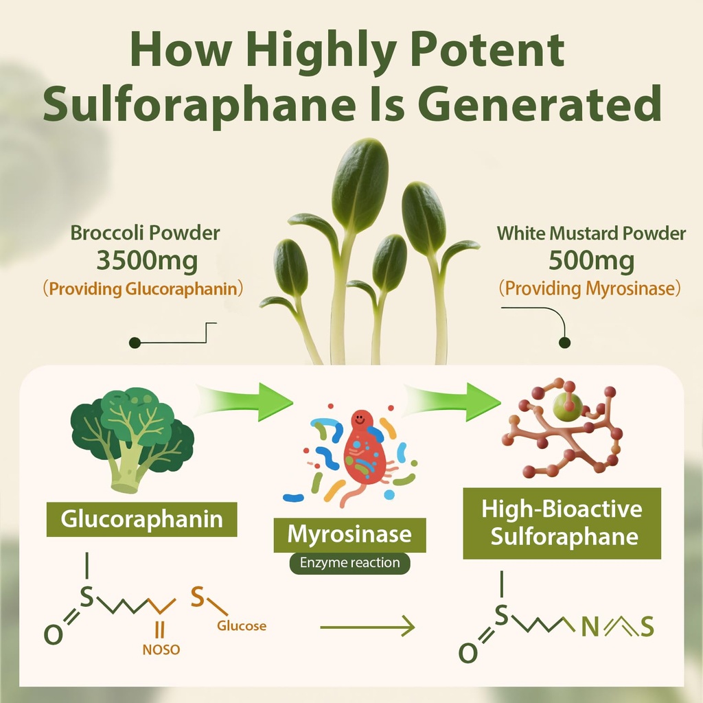 sulforaphane-supplement-from-broccoli-sp-3.jpg