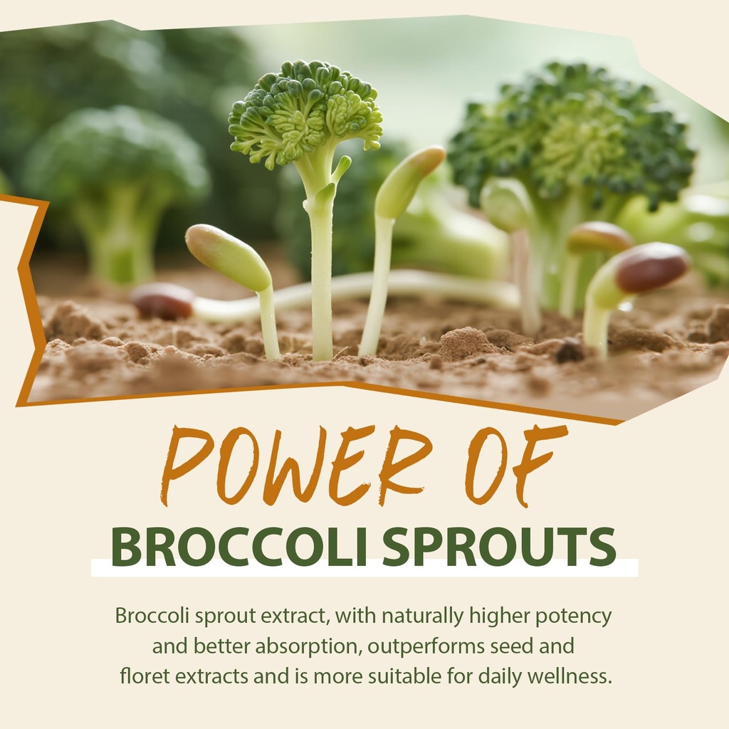 sulforaphane-supplement-from-broccoli-sp-5.jpg