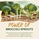 sulforaphane-supplement-from-broccoli-sp-5.jpg