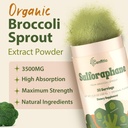 sulforaphane-supplement-from-broccoli-sp-4.jpg